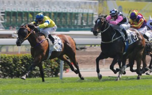 Zac Purton drives Precision King to the line to win his third consecutive race on Sunday. Photo: Kenneth Chan 