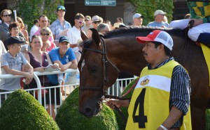 Chicago racing fans admire Finnegan's Wake before the race in August. Photo: Andrew Hawkins