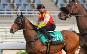 Karis Teetan will be aboard Designs On Rome on Sunday. Photo: Kenneth Chan