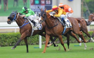Military Attack (Zac Purton) gets up on the inside to just get the better of Gold-Fun (Douglas Whyte). Ambitious Dragon (Gerald Mosse) was third. Photo: Kenneth Chan