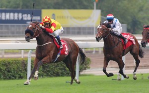 This local Hong Kong Sprint contender is one of the few horses that looks over the odds in early markets overseas. Who is he? Photo: Kenneth Chan