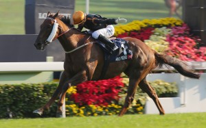 Able Friend's Hong Kong Mile victory was the clear highlight of HKIR week. Photo: Kenneth Chan