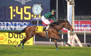 Just A Way's win in the Dubai Duty Free was named the best performance of 2014 and earned him the somewhat erroneous title, "World's Best Racehorse". Photo: Kenneth Chan