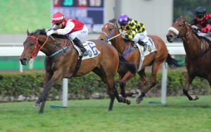 Joao Moreira drives home John Size's Eroico to bring up another treble. Photos: Kenneth Chan