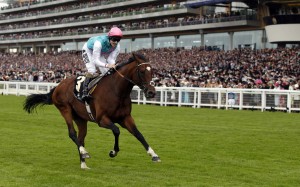 There would be uproar if there was a Class Five galloper named Frankel, but it is impossible as the name Frankel is protected by the IFHA. Photo: Reuters