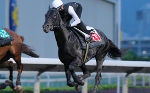 Dominant, pictured at Sha Tin before his trip, finished fifth in Australia on Saturday. Photos: Kenneth Chan