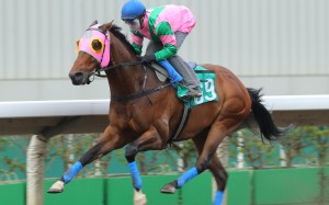 Aerovelocity, with Zac Purton aboard, winning a 1,200m dirt trial easily on Tuesday. Photos: Kenneth Chan