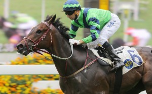 Joao Moreira produced a masterful ride on Bear-Pop to bring up the three-year-old's second consecutive win. Photo: Kenneth Chan