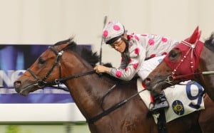 Richard Fourie, who made a good impression when he raced in Hong Kong two years ago, is to return. Photo: Kenneth Chan