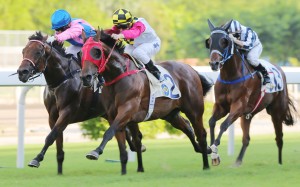 Zac Purton drives Supreme Profit over the line to complete a double at Sha Tin. Photos: Kenneth Chan
