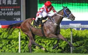 Veteran sprinter Lucky Nine could make his reappearance in the HKSAR Chief Executive's Cup on September 6. Photos: Kenneth Chan