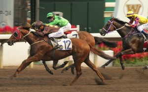 Sure Peace just gets the better of Elegance Klammer to give John Moore his first win for the season. Photo: Kenneth Chan