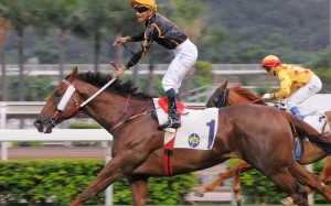 "Fatso Friend" silenced his critics on Sunday at Sha Tin. Photo: Kenneth Chan