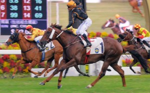 Able Friend won the Premier Bowl first-up in October, but had disappointed in two subsequent runs and will now miss the rest of the season. Photo: Kenneth Chan