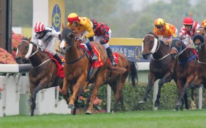 Gold-Fun wins the Queen's Silver Jubilee Cup two years ago, defeating Dan Excel. Now, as a reborn sprinter, he steps up to his pet trip again and looks hard to beat. Photos: Kenneth Chan