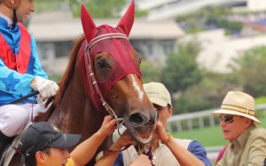 Rapper Dragon will be the highest-rated classic runner in more than a decade should he win the Lion Rock Trophy and make it to next season's four-year-old races.