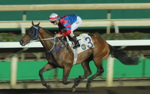 Race 6, Gun Pit, ridden by Zac Purton, won the class 1 over 1650m(all weather track) at Sha Tin on 18Nov15.