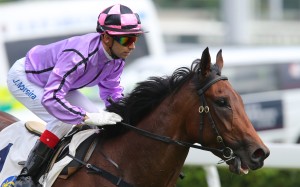Race 4, Who Else But You, ridden by Joao Moreira, won the class 4 over 1200m at Sha Tin. 06DEC15
