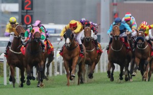 Race 7, Aerovelocity, ridden by Zac Purton, won the Centenary Sprint Cup(HK Group 1, 1200m) at Sha Tin on 31Jan16.