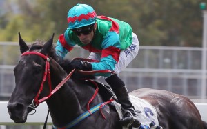 Race 2, Momentum Lucky, ridden by Slivestre de Sousa, won the class 4 over 1200m at Sha Tin on 14Feb16.