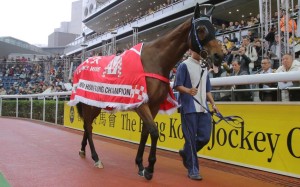 Lucky Nine parades in front of the Sha Tin crowd one final time before he heads for retirement in Australia. Photo: Kenneth Chan