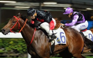 King Of Mongolia won on Wednesday night, but Formula Won in the purple cap caught the eye running into second. Photo: Kenneth Chan