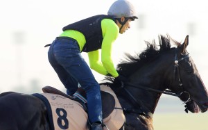 Master Kochanwong gallops on the Meydan track at Dubai on Friday. Photos: Kenneth Chan