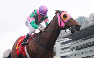 <p>Paul O’Sullivan’s stable star can put condition back on after a nightmare trip to Japan before he faces an Australian invasion that includes Buffering in feature</p>