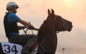 Joao Moreira takes Hammer King onto the Sha Tin all-weather track in the early hours of Thursday morning. Photo: Kenneth Chan