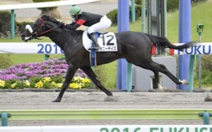 Nanako Fujita on 5-year-old horse Sunny Days wins the ninth race in Fukushima on April 10, 2016. Fujita, 18, the Japan Racing Association's first female jockey in 16 years, claimed her first victory in the race hosted by the JRA. (Kyodo) ==Kyodo