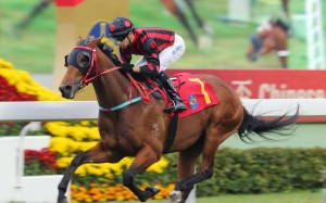 Joao Moreira will switch to Thewizardofoz for the Chairman’s Prize Sprint in May. Photos: Kenneth Chan