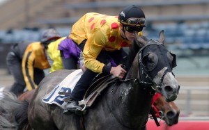 <p>The expensive import had looked a flop after his first couple of starts, but he is slowly coming to life and is set for a Class Two mile on April 24</p>