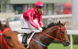 Race 8, Mr Stunning, ridden by Joao Moreira, won the class 3 over 1200m at Sha Tin on 16Apr16.