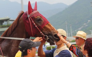 Rapper Dragon’s Class One win has paved the way for him to tread a path towards the 2017 Hong Kong Derby. Photo: Kenneth Chan
