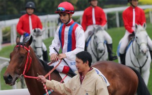 Volitation impressed with his victory at his third time of asking, and looks well placed to make it two in a row on Sunday. Photo: Kenneth Chan
