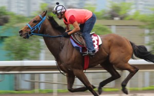 Mongolian Saturday in action at the weekend, when his trainer thought he wasn’t given a testing enough effort. Photo: Kenneth Chan  
