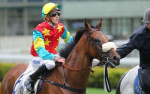 Ambitious Champion was an impressive winner of the Queen Mother Memorial Cup, giving rider Chad Schofield his biggest Hong Kong win to date. Photo: Kenneth Chan