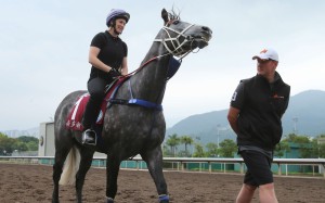 Chautauqua after a trot on the all-weather track at Sha Tin as trainer Michael Hawkes looks checks out his charge. Photos: Kenneth Chan