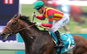 Maurice will be a plum ride for Tommy Berry as the “Magic Man” Joao Moreira will attest to after winning the Champions Mile this month aboard the Japanese superstar. Photos: Kenneth Chan