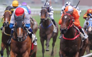 Adventurer and Love Shock, one-two over the straight 1,000m on Saturday, look horses to follow heading forward. Photo: Kenneth Chan