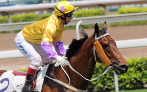 Matthew Chadwick returns after winning the Sha Tin Vase on Peniaphobia. Photo: Kenneth Chan