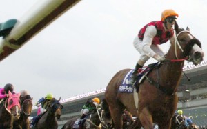 Takeover Target wins the 2006 Sprinters Stakes at Nakayama. A decade on, his namesake is winning turf features in the United States. Photo: AP