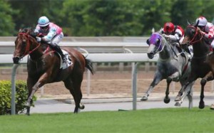 Race 3, Regency Darling, ridden by Kei Chiong Ka-kei, won the class 4 over 1200m at Sha Tin. 22MAY16