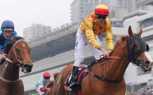 Gold-Fun (right) will head to the Prix Maurice de Gheest at Deauville on August 7. Photo: Kenneth Chan