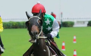 Pakistan Star went viral after his stunning last-to-first debut in July. Photo: Kenneth Chan