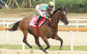 Super Jockey and Karis Teetan in Seoul. Photos: Lo Chun Kit