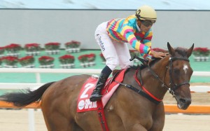 After spending a weekend in Seoul, Michael Cox provides an insight into the unique Korean racing scene