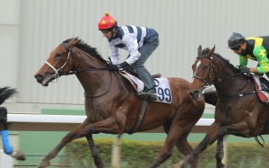 Winfield and Douglas Whyte stretch out in a recent trial. Photos: Kenneth Chan