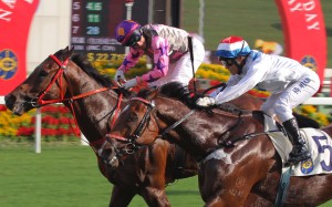Brett Prebbles steers Amazing Kids to victory in the National Day Cup, but he’s committed to fellow sprinter Lucky Bubbles in the Group Two Premier Bowl. Photos: Kenneth Chan