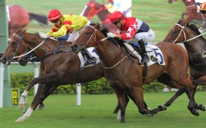 Twin Delight stuns his rivals to win last start. Photos: Kenneth Chan